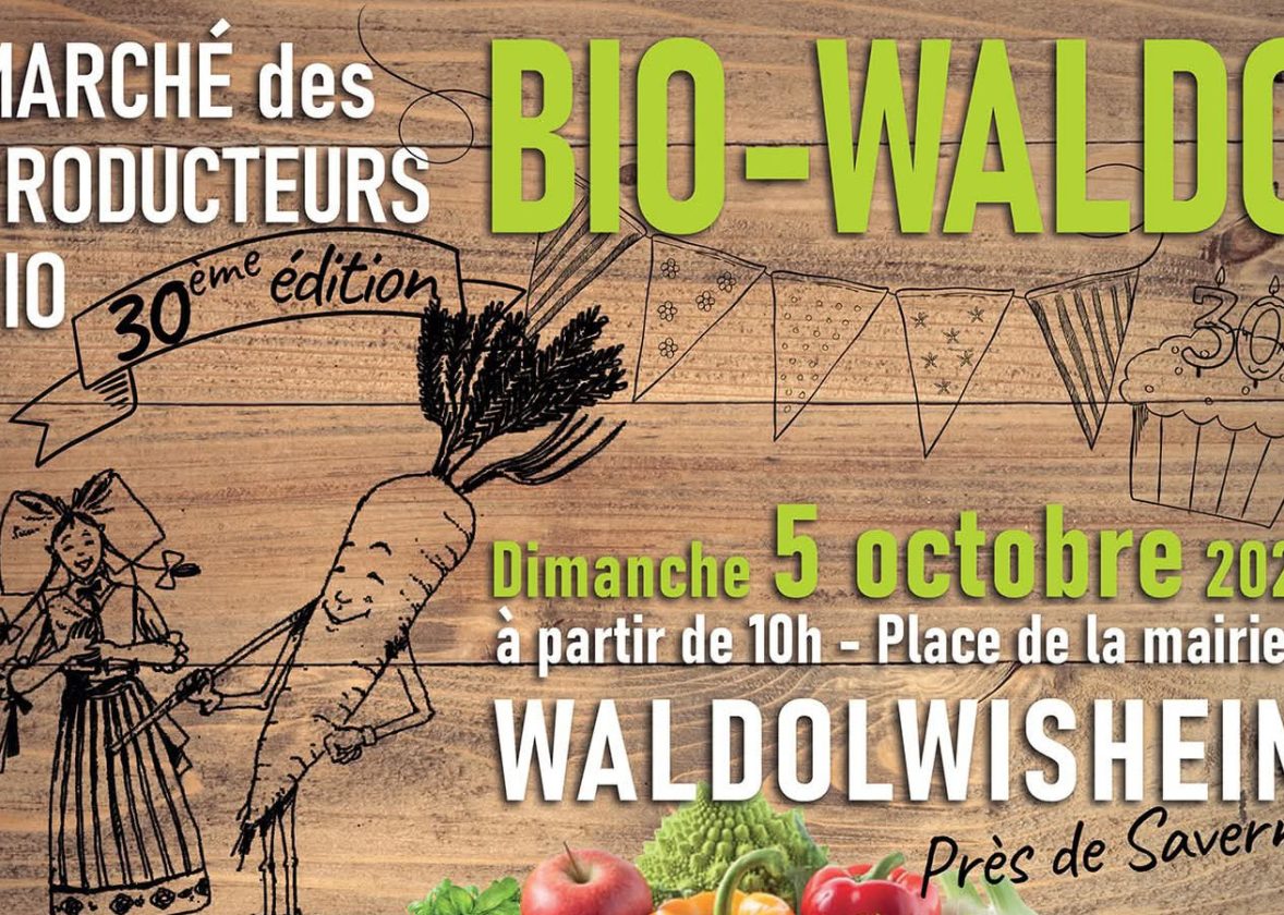 Atelier au marché Bio